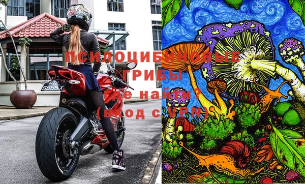 мдпв Абаза