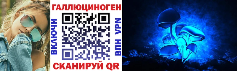 хочу   Псков  Галлюциногенные грибы Magic Shrooms 