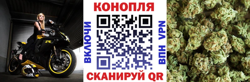 Бошки марихуана индика  Псков 